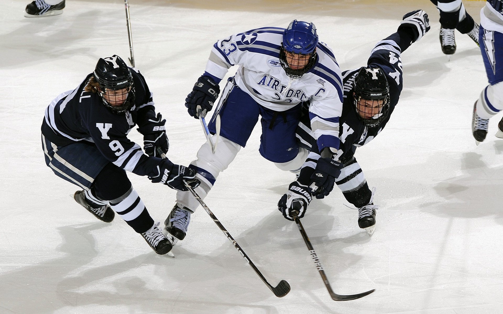 混合泳新星闪耀全国锦标赛，老将新人同台竞技创佳绩